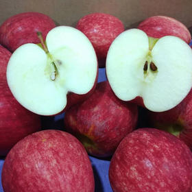 新西兰加纳苹果royal gala 小巧清甜 是瘦身减肥的良品(20只)