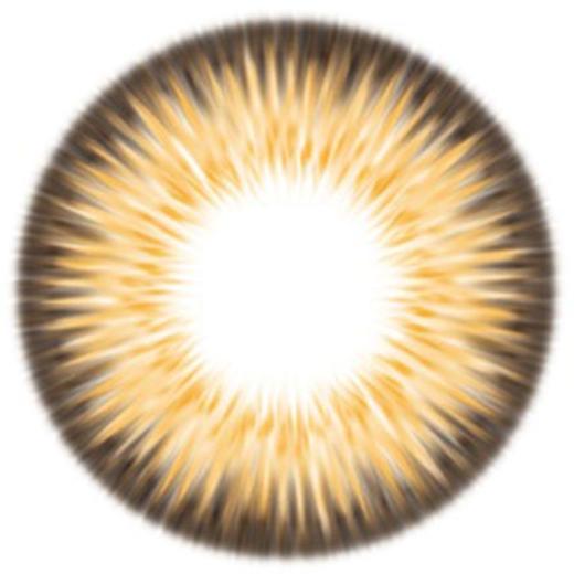 HOLY Nara 硅水凝胶日抛 水库 棕/灰/蓝（14.2最高800） 商品图1