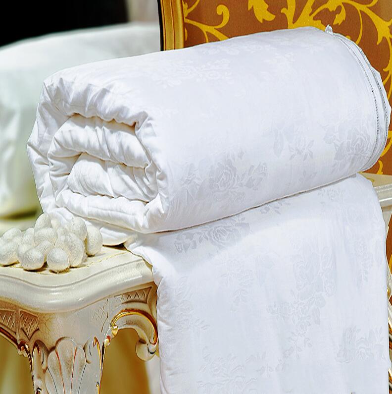 居家旅行夏凉冬暖被空调芯透气轻薄蚕丝被032661