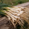 生态藠头 | 绿家自产* Eco-allium chinensis | Self-production 商品缩略图0