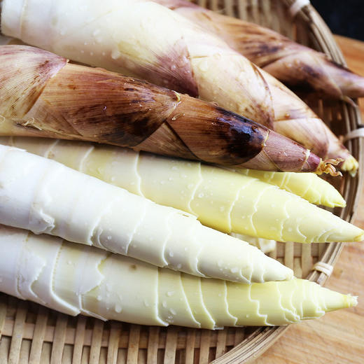 临安野生黄泥春笋上午采摘下午发货4斤装(4斤左右)