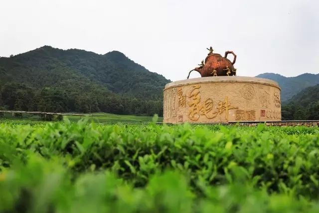 龙坞茶村轻徒步 茶文化体验 4.22周日