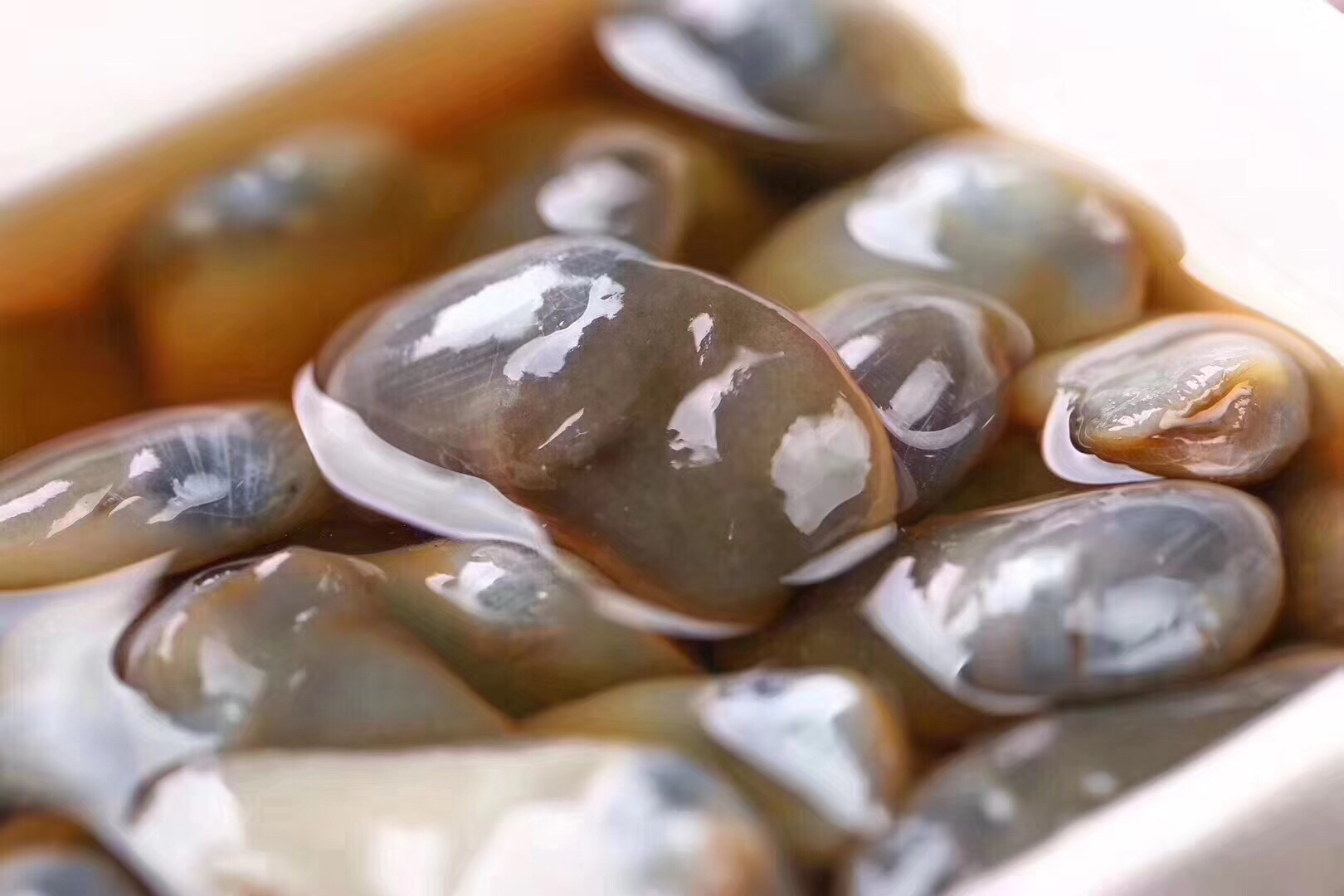 宁波正宗醉泥螺 大个头 肉质厚 无沙 顺丰包邮