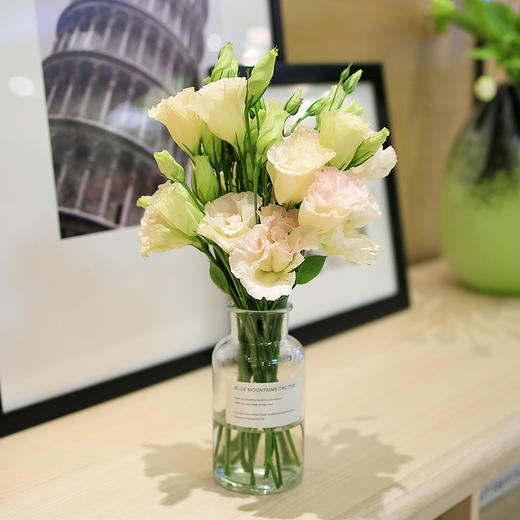 爱不随机 || 洋桔梗