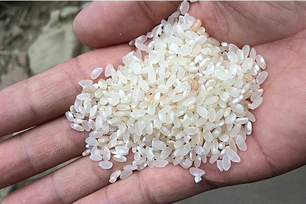 无公害 2017年新大米(南粳5055)白米 70元/袋/10斤