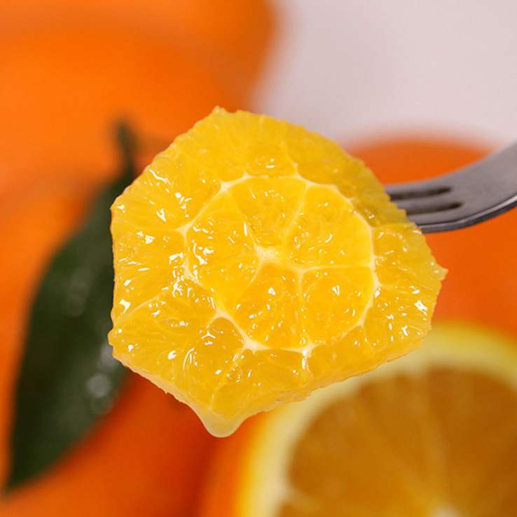 陌本产地直供一件代发 秭归伦晚脐橙黄心甜橙春橙新鲜时令水果不催熟