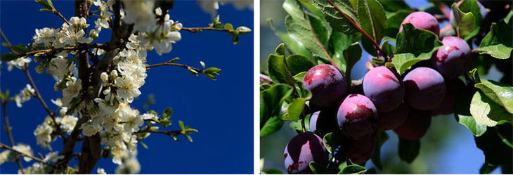 010207003101-06 (1).jpg