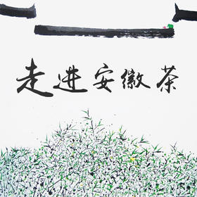 走进安徽茶——问山空中专题课堂