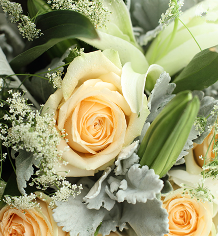 1388 天秤座守护花---香槟玫瑰11枝,白百合3枝