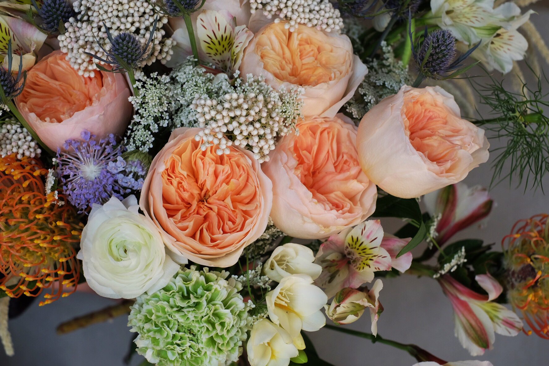 沉迷奥斯汀 / 荷兰顶级玫瑰 超大束 (提前3天预定)