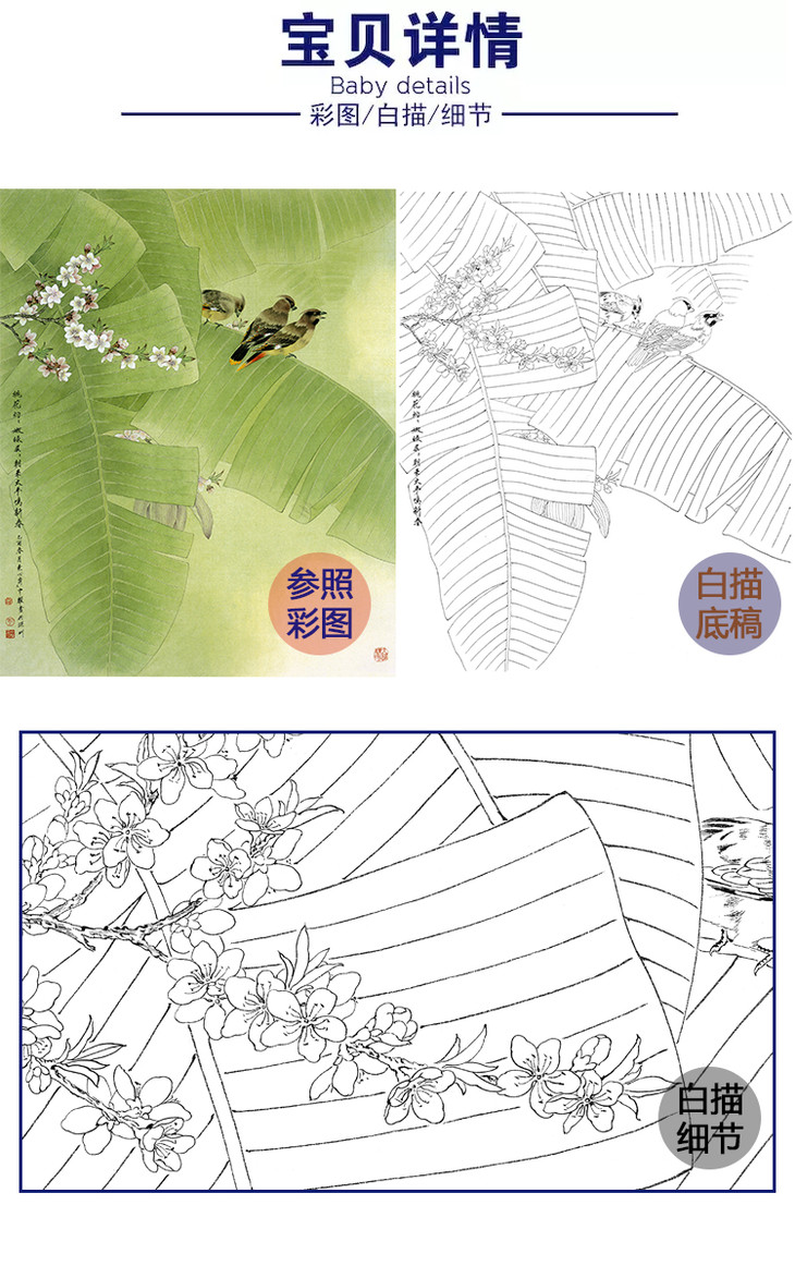 白描底稿-工笔花鸟-周中耀-芭蕉-zt33