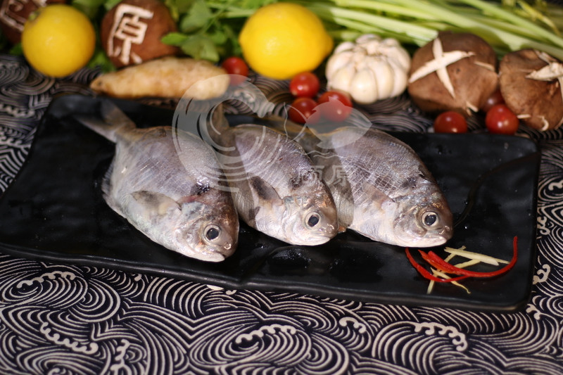 南鲳鱼.时价 包杀