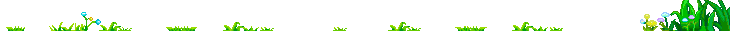兔子胡萝卜草丛动态分割线