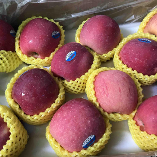 甘肃静宁贵妃苹果 甄选佳果1件净重7斤