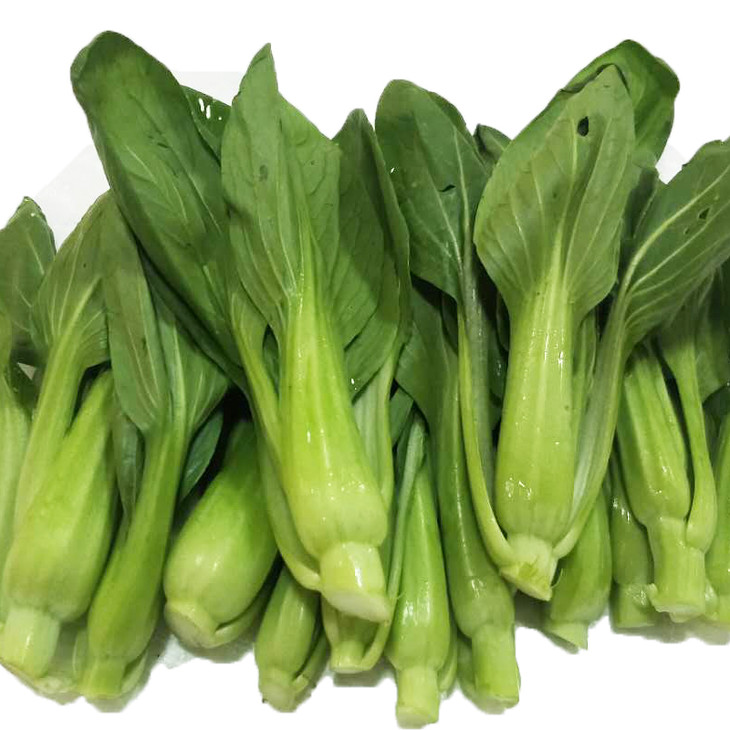 东升农场 有机上海青苗 有机鸡毛菜苗 广州供港新鲜蔬菜配送 250g - 