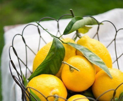 *  港澳台及海外不发货 柠檬 酸,甘,凉,归经肺,胃经. 功能主治生