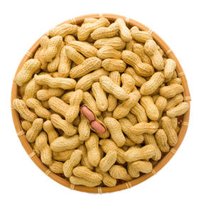 吊炉花生300g  山核桃味