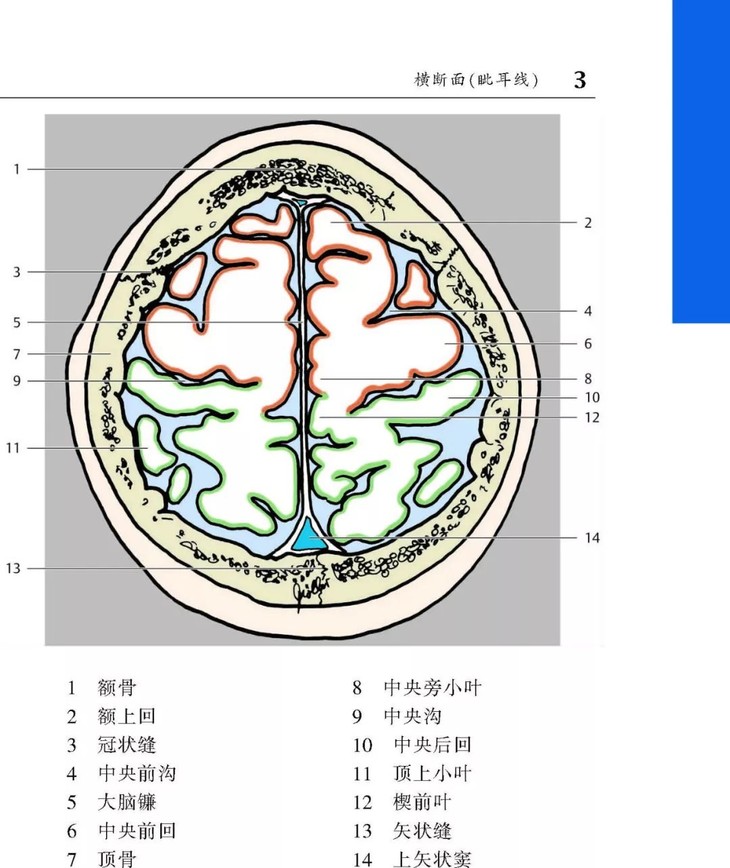 ct与mri袖珍断层解剖图谱 第1卷:头颈部 ss