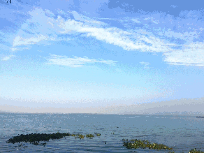 淀山湖畔美式2天1夜五一亲子营