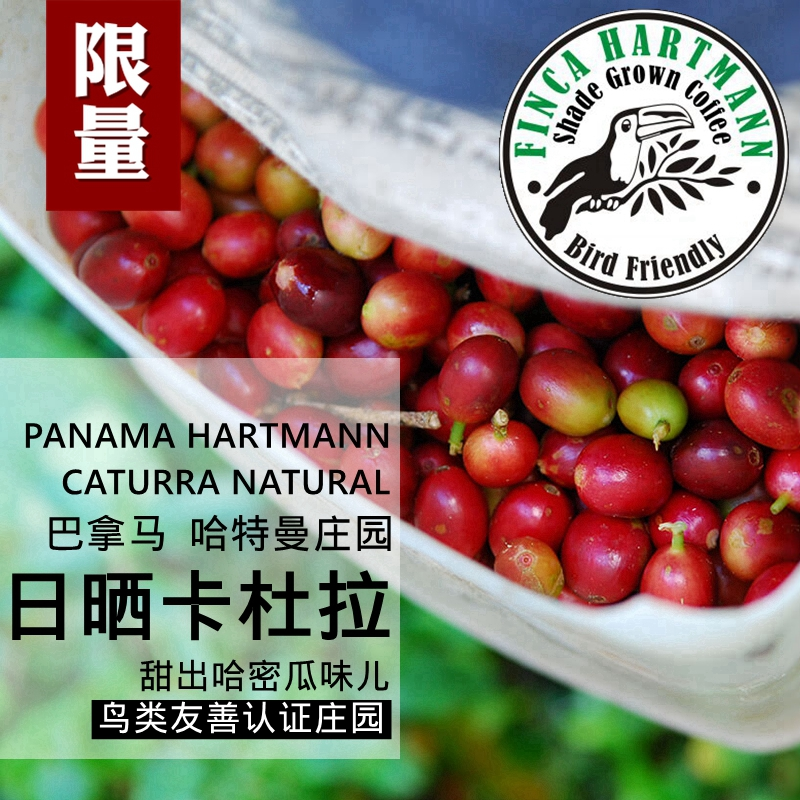 巴拿马哈特曼庄园日晒卡杜拉精品咖啡豆