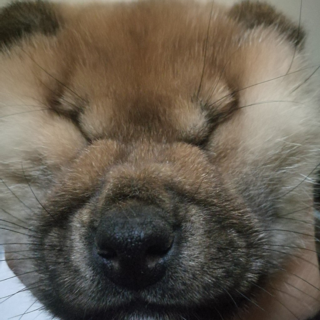 播货网上海仓200511