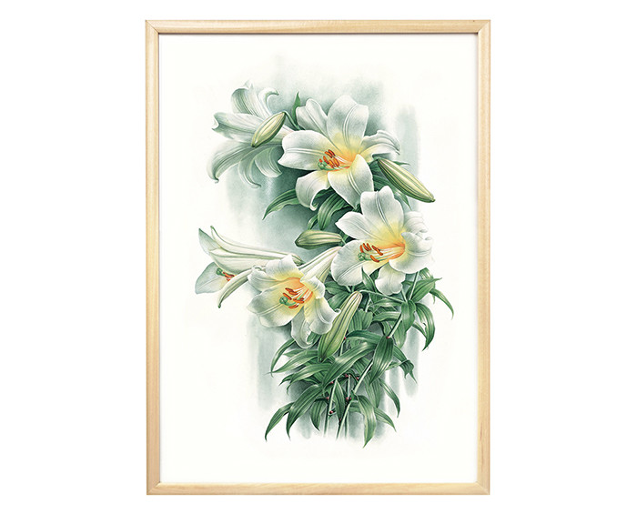 曾孝濂《花叶》植物艺术画 已装画框 可直接上墙 办公居家装饰