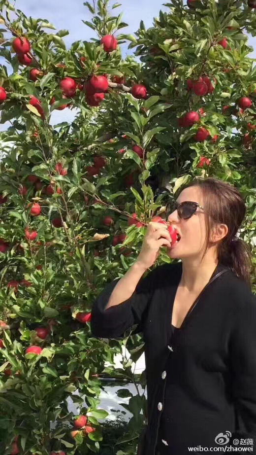 新西兰Rockit樱桃小苹果🍎——外形迷你，脆甜可口 商品图8