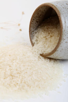 g20用米 善德良米 纯正有机米 东北大米 不用除草剂 2斤 5斤装 2斤