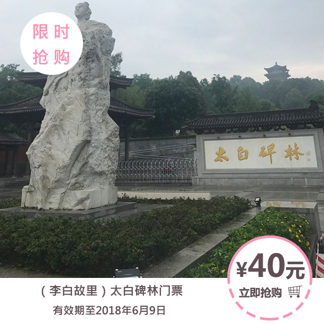 (李白故里)太白碑林门票