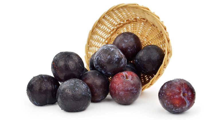 【新品上市】进口黑布朗16个装|入口酸甜 果肉硬脆|全国包邮次日陆续