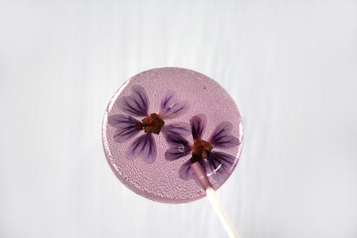 【让时光倒流的高颜值花糖】鲜花与果汁的结合,不甜腻不长胖