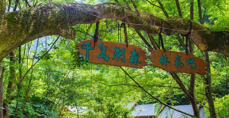 【超值门票】千岛湖森林氧吧景区成人票(送森林滑草门票)