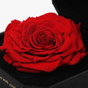 野兽派巨型永生花礼盒玫瑰 C4 商品缩略图2