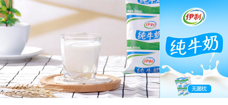 伊利 无菌枕纯牛奶240ml*16