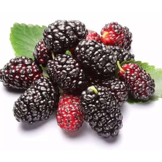 吐鲁番新鲜黑桑葚 (500g)