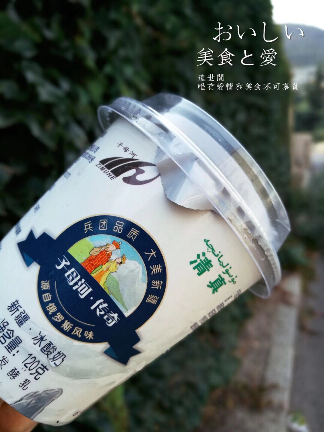 【新疆子母河冰酸奶】俄罗斯风味,甄选新疆优质奶源,呵护家庭健康