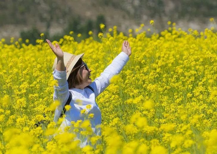 【4月20-5月20日 · 油菜花季】天开花海开园迎客!既来天开,何去婺源!