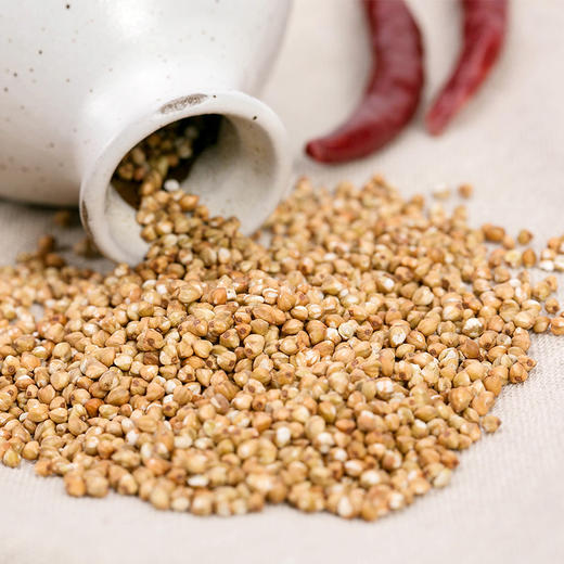 【高效降三高一糖辅食】优质西盟米荞,富含丰富微量元素,蛋白质,抗氧