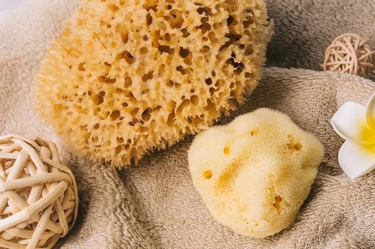 希腊爱琴海海底100米以下的天然海绵 除了洗脸仪就属它能彻底清洁肌肤
