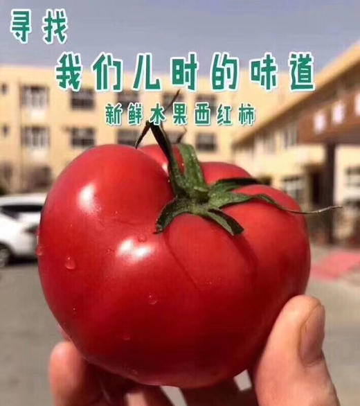 上海有机西红柿🍅本地有机种植，坚持自然成熟，味浓多汁 商品图6