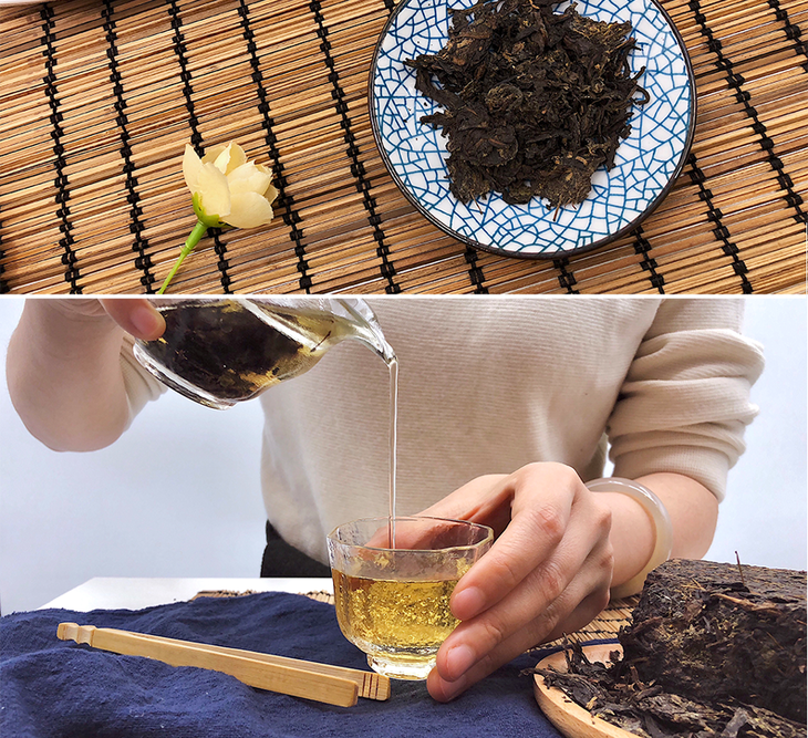 辣木茯茶 250克茶砖【赠茶针】