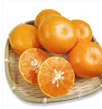 茂谷柑/5斤/大果