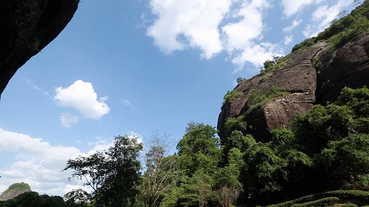 茶香记 碧石岩肉桂 合沐轩 三道火 花香奶香 正岩 不返青