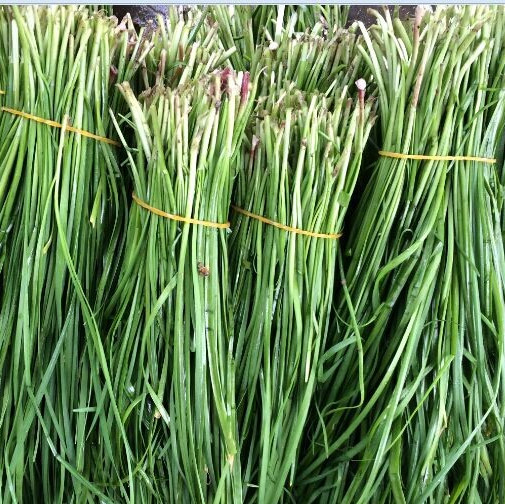 无公害 老韭菜(5元/份/2斤,适合包饺子做韭菜盒子韭菜饼)