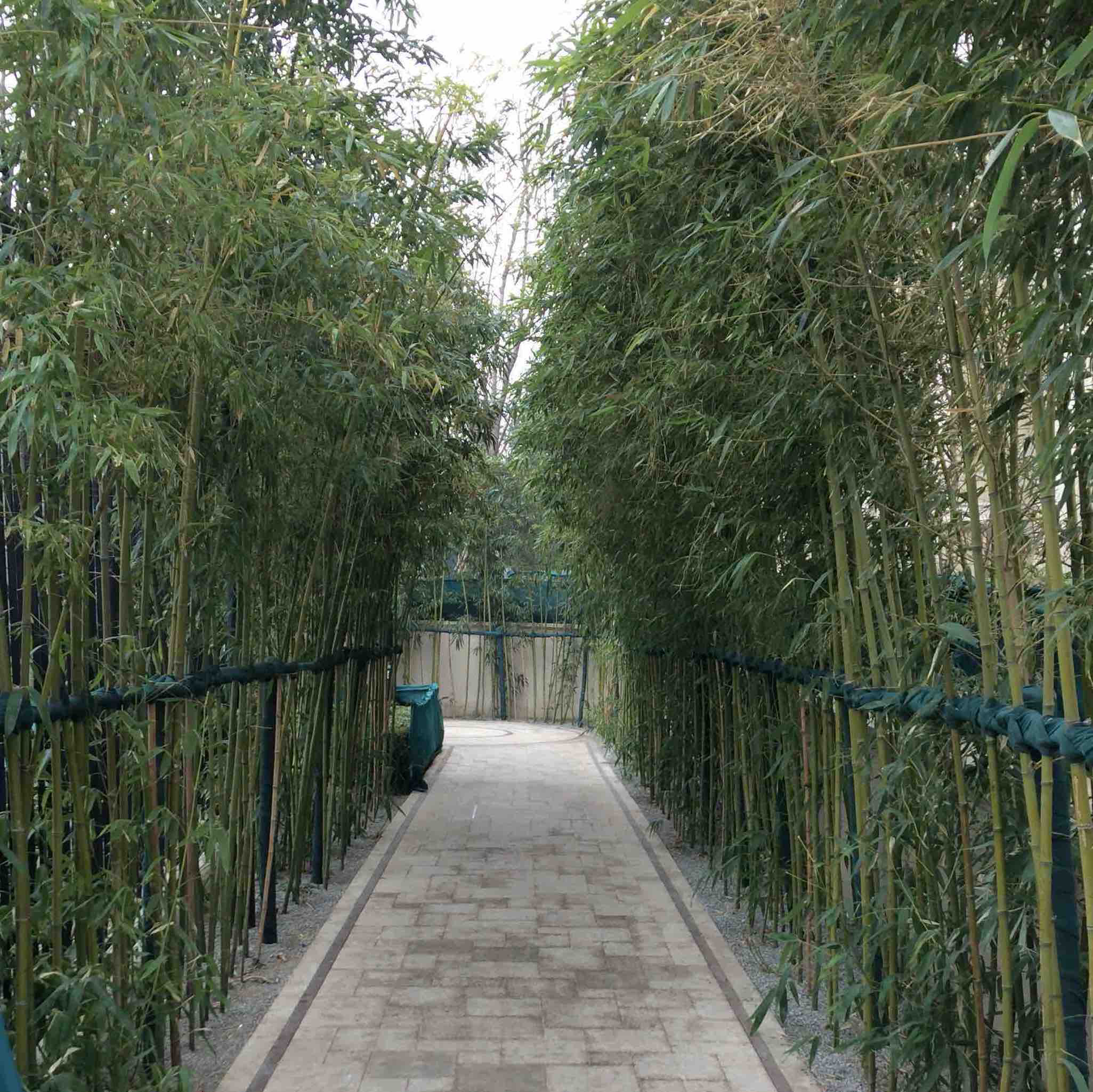 亦庄中信新城诚鲜美超市200511