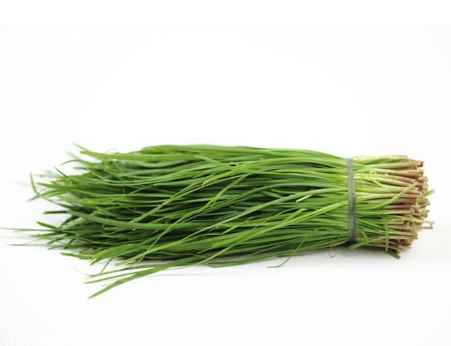 格尔木本地韭菜 【500g】