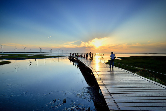 【台湾】高美湿地半岛6天摄影