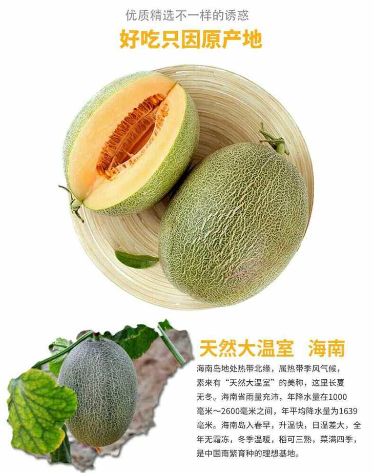 【包邮】海南天蜜瓜 (1只五斤)脆甜多汁