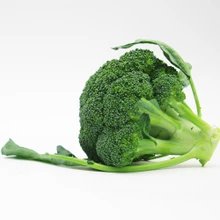 西兰花 约500g/个 检测合格，无公害