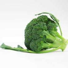 西兰花 约500g/个 检测合格，无公害